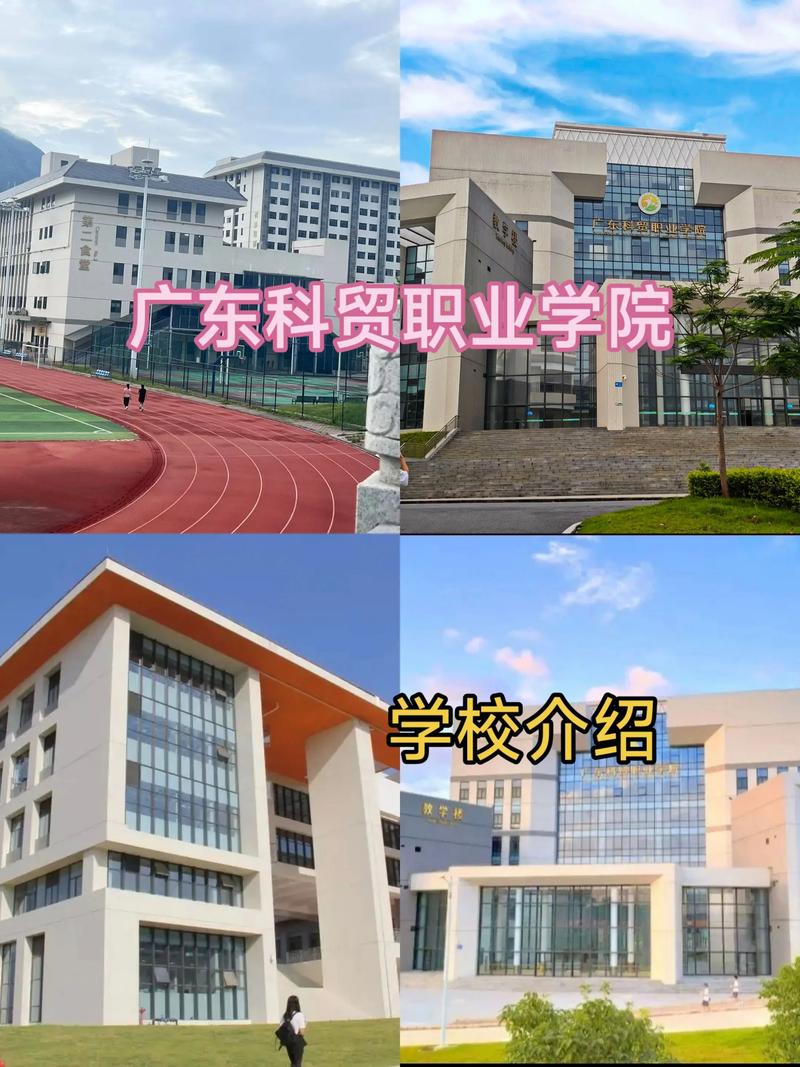 走进广州科技贸易职业学院：录取分数线解读